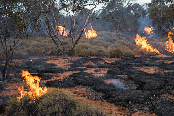 MAGIC undertaking a cool mosaic burn at Rick Farley Reserve