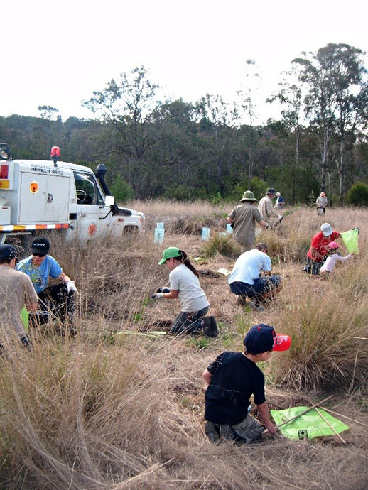 Yellomundee Aboriginal Bushcare Group weeding and revegetating native plants in Yellomundee Regional Park