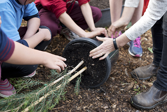 Pot plant containing a small tree turned on its side with people's hands holding it and getting ready to plant.