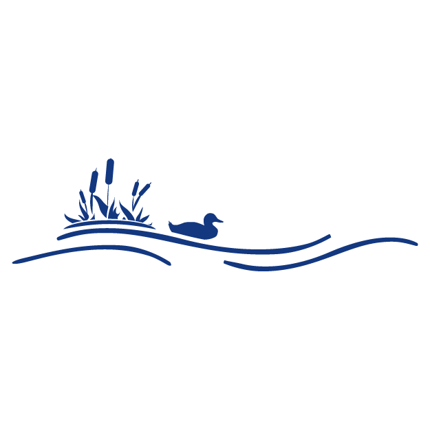 Icon of high water levels with duck