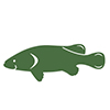 Native fish icon