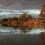 Lachlan wetlands Willandra Creek