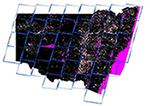 Data overview map of Landsat woody change tiles