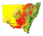 NSW interim native vegetation extent data overview