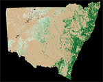 Woody vegetation extent data overview