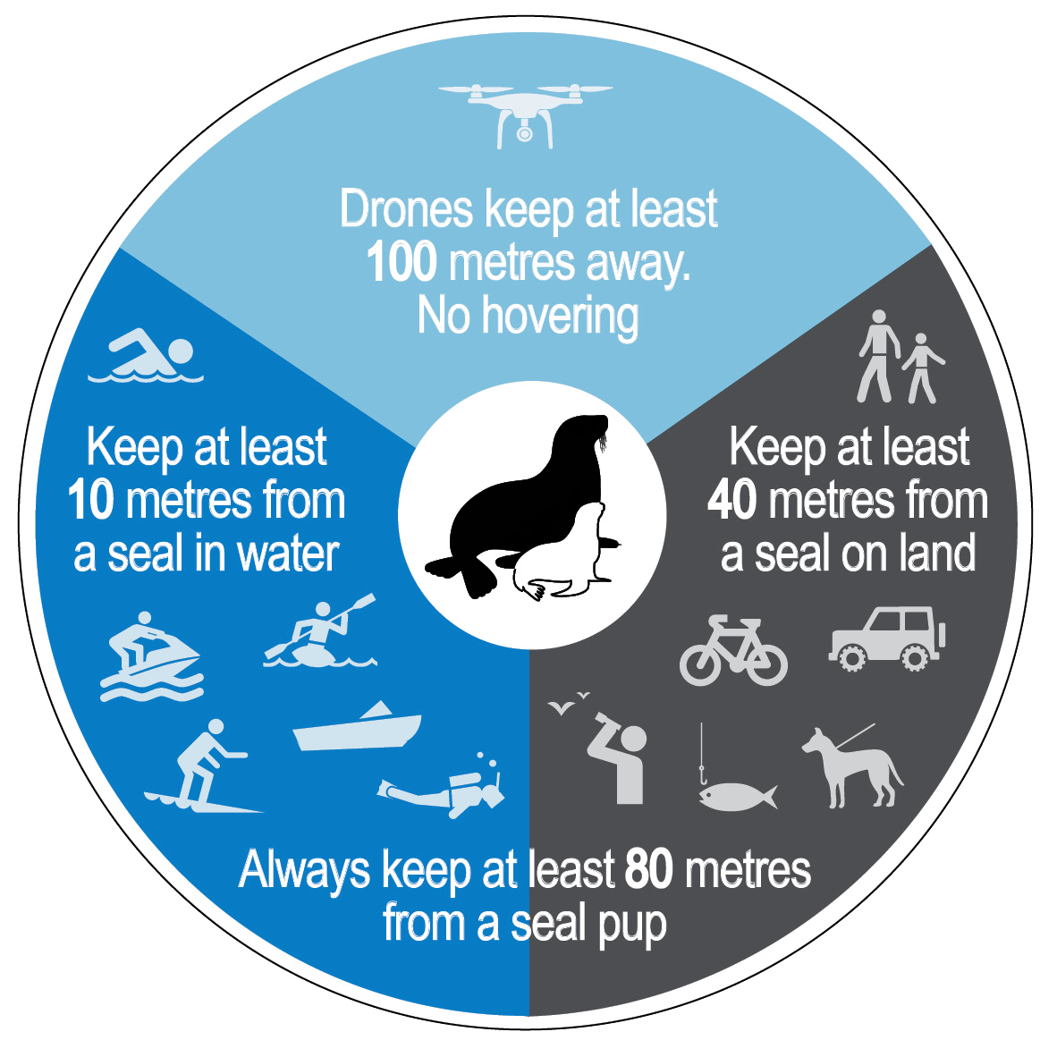 Approach distances for seals.