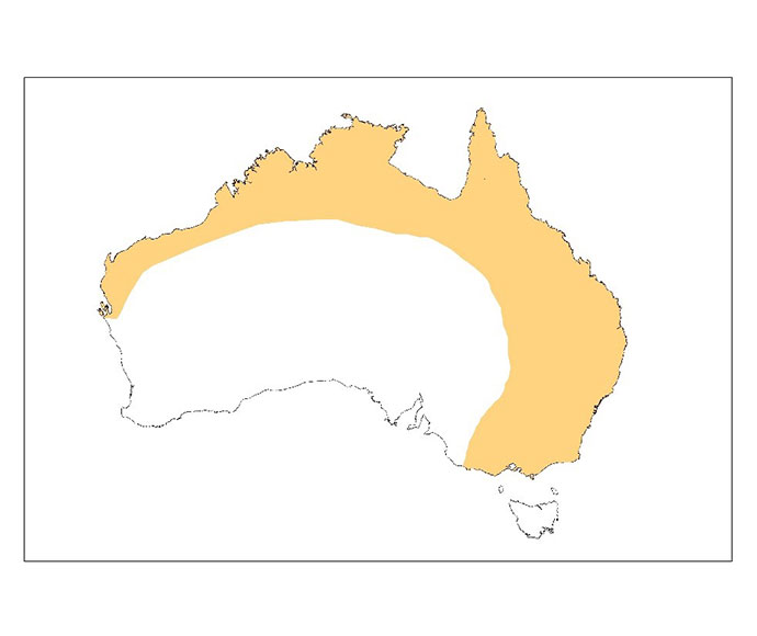 Little red flying-fox (Pteropus scapulatus) indicative species distribution map