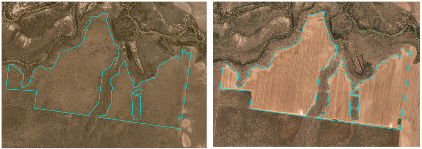 Satellite images from left to right showing before and after non woody disturbance for cropping. The left image shows consistent colour inside and outside the blue polygon suggesting undisturbed grassland whereas clear striations and a change in colour in the right-side image indicate transition to cropping 