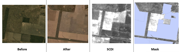 Satellite and Seasonal Cover Difference images from left to right showing before and after non woody disturbance for agriculture with the Seasonal Cover Difference Image predicting high disturbance in white and previously disturbed areas masked out in blue. 