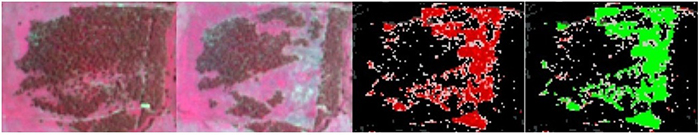 Satellite images from left to right: ‘before’ (2018) image, ‘after’ (2019) image, woody vegetation clearing probability raster (the darker the red the higher the probability of clearing), the manually edited probability raster showing pixels that have been coded as clearing of woody vegetation for agricultural purposes.