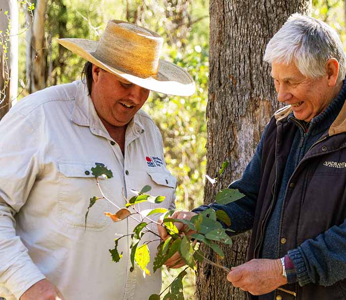 Two individuals examining plant life outdoors