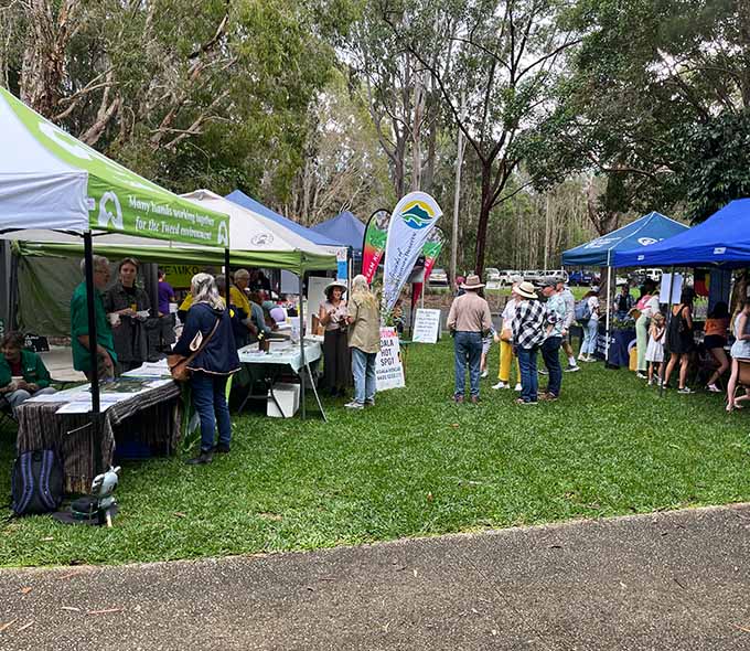 An outdoor event featuring various stalls and a gathering of people in a park setting