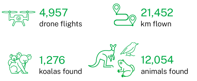 4,957 drone flights; 21,452 km flown; 1,276 koalas found; 12,054 animals found