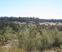 Landscape on Hardwicke Stage 2 stewardship site