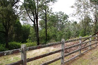 Grasses, scrub and trees on the Fernhill East biobank site