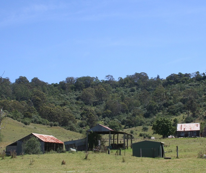 Landscape on Hampden Vale stewardship site