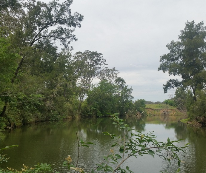 Landscape on Winbourne stewardship site