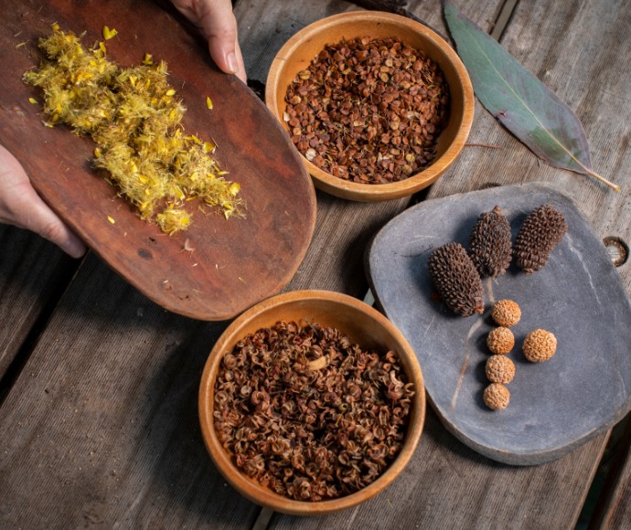 4 brown earthly seeds placed in bowls, atop a table