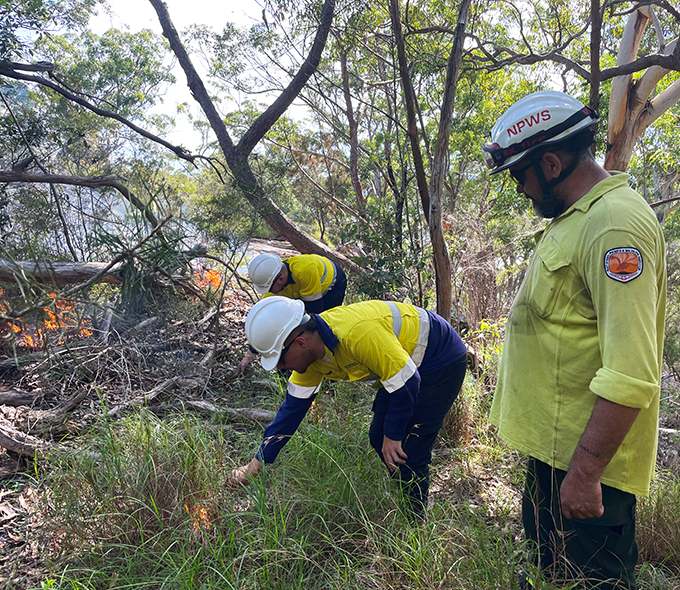 Workers in protective gear examining a forest area with a small fire. The image shows three individuals wearing protective clothing and helmets, in a forested area where there is visible fire and smoke. Two of the individuals are wearing yellow outfits and white helmets, they are bent over examining the ground near the fire. The third individual is standing upright, wearing a green outfit and a white helmet labeled ‘NPWS’. The environment consists of trees with green leaves, dry grass, and fallen branches; it appears to be daytime with sunlight filtering through the trees. A small fire is burning amidst dry grass and branches on the ground; smoke is visible rising from the flames.