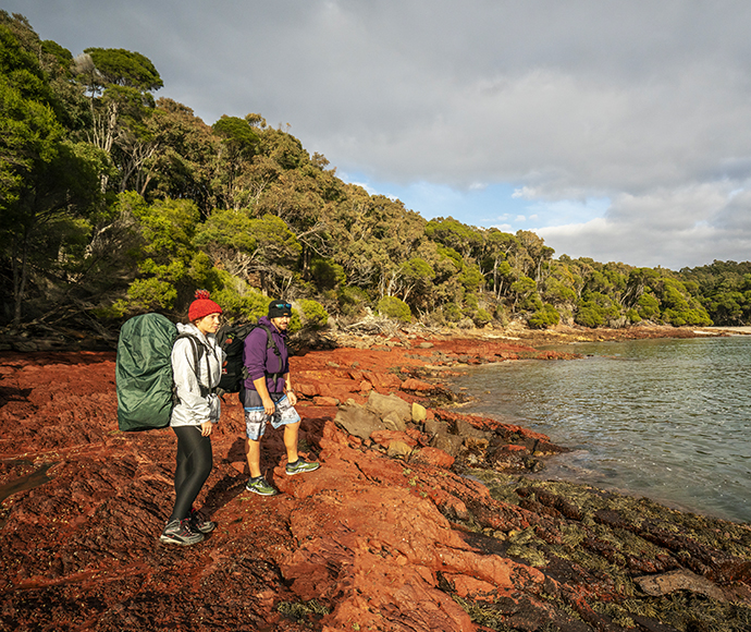 Bush walking near Bittangabee campground, Ben Boyd National Park