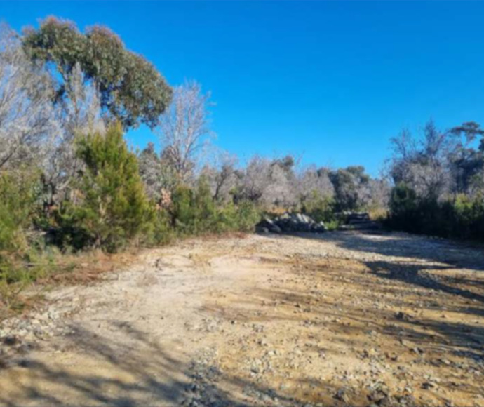 A gravelly, dirt clearing hemmed in by coastal trees and foliage