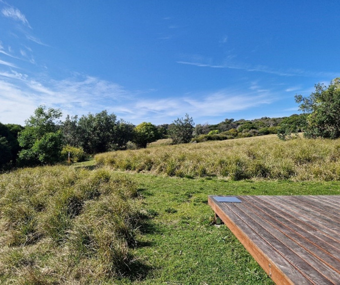 The corner of a raised timber platform is visible in a green clearing in bushland