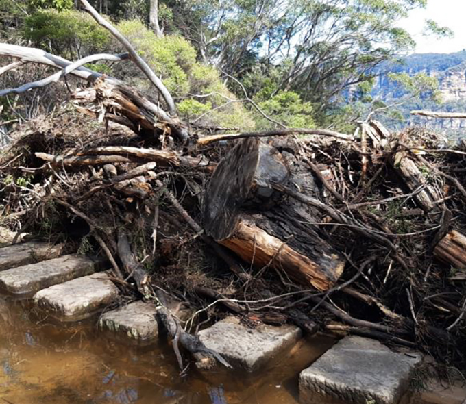 Wentworth Falls Top crossing, Blue Mountains National Park