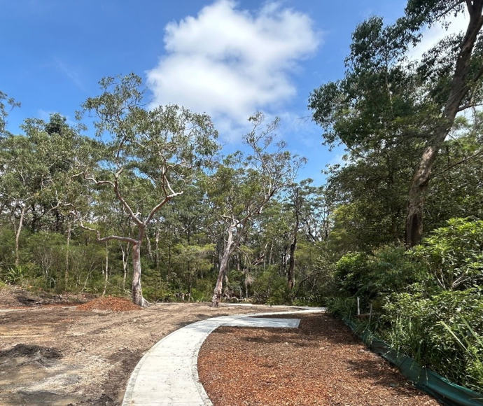 A freshly laid path goes through a cleared area of dirt and mulch; a eucalypt treeline with vivid green scrub in the background