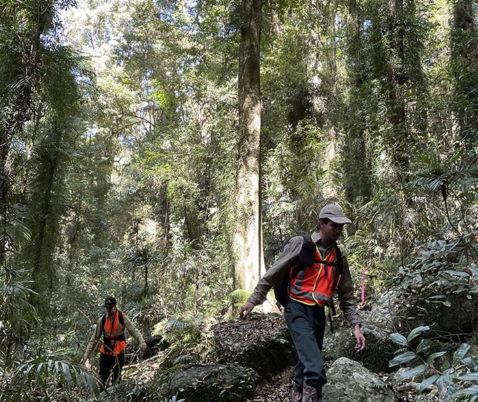 The proposed track route will be adjusted where needed to avoid impacts on threatened species