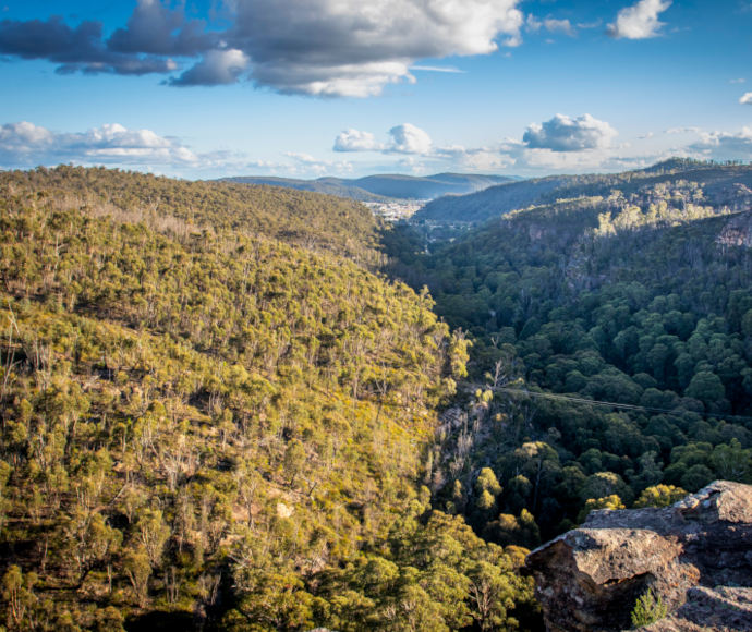 A high aerial view of a treed hill on the left, a rocky hill on the right, and the shadow of clouds in the valley between.