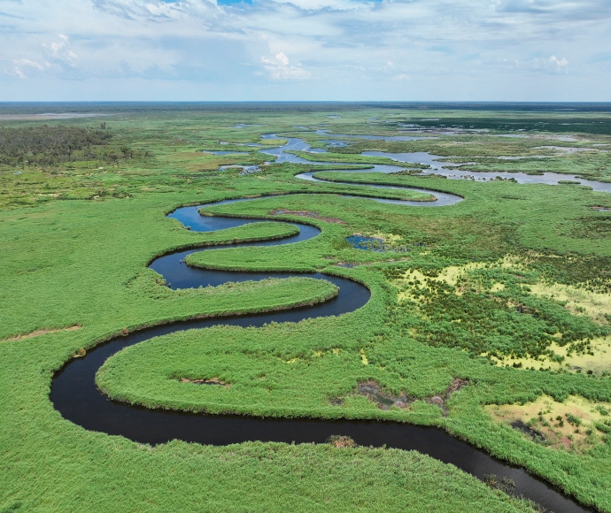 Great Cumbung Swamp