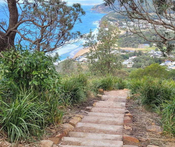 Ocean glimpsed through trees, from high up on the steps of the Bald Hill Track