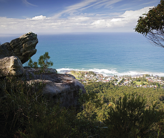 Woodward Track in the Illawarra Escarpment State Conservation Area