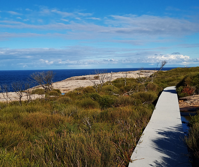 Cape Baily Track