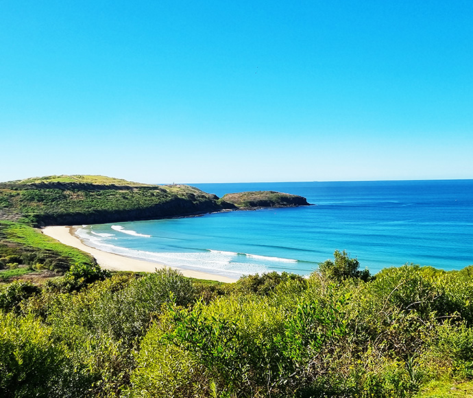 The Farm, Killalea Beach