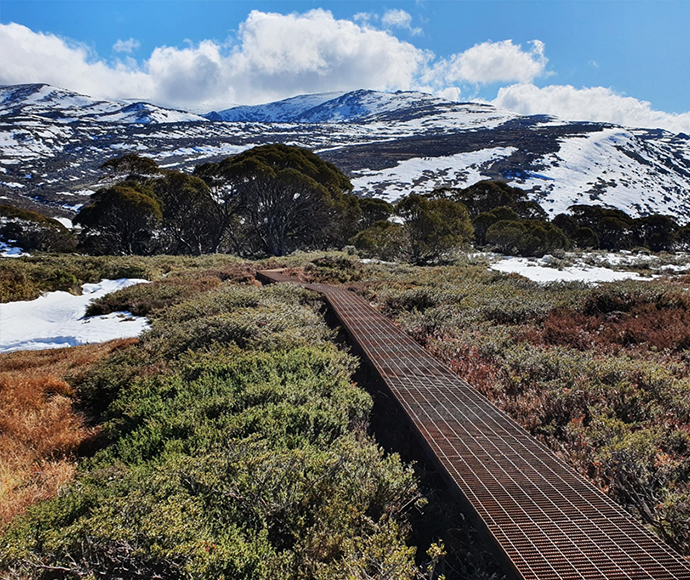 New steel mesh walkway above the subalpine heath, with views to Mount Twynam and Blue Lake.