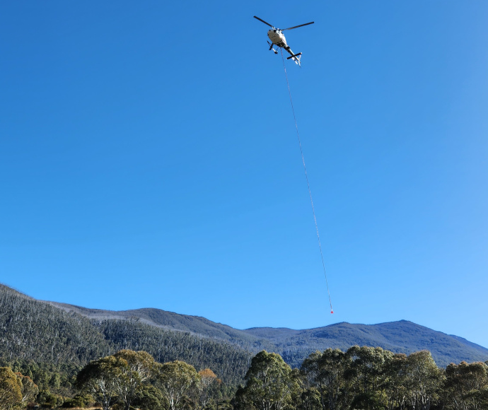 A helicopter high in a clear blue sky carries something small, round and orange at the end of a long cord beneath it, hovering near alpine eucalypts above a clearing