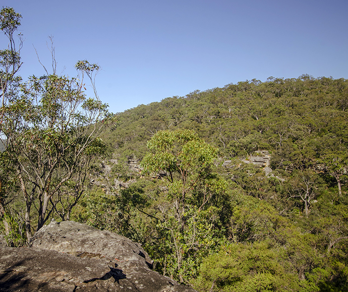 Lookout, Marramarra National Park 