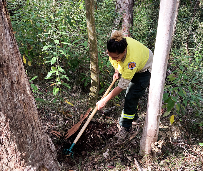 Staff conducting false truffle surveys in Ngambaa Nature Reserve 