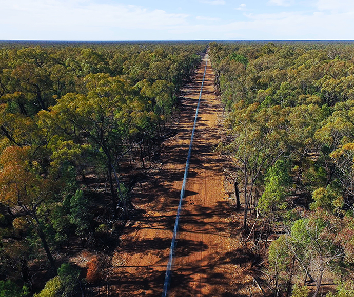 The fence that makes a safe haven: 1.8 metres high with base wire ‘ground skirts’, ‘floppy tops’ and double electrified wires to prevent feral cats or foxes getting inside. On-ground teams undertake regular inspections.