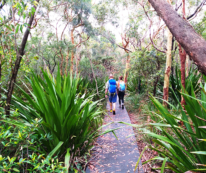 Completed upgrades along the Royal Coast Track