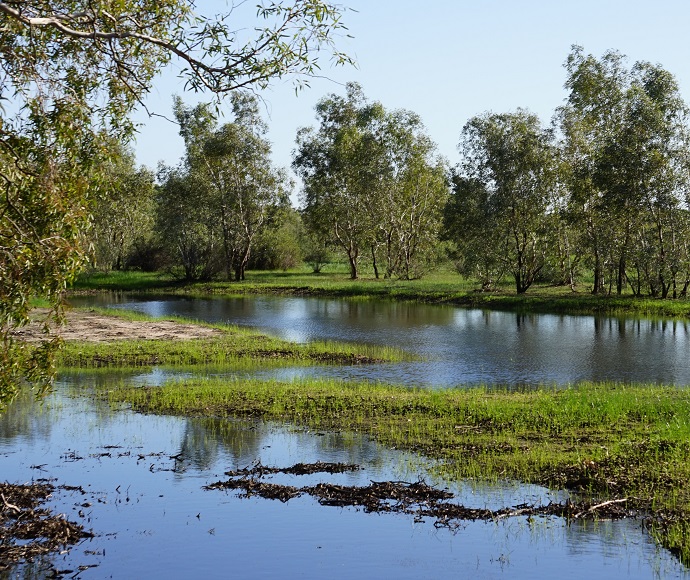 View across a body of water with small grassy islands to trees on the other side, Warrego floodplain.