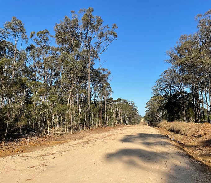 Dirt road going towards bush