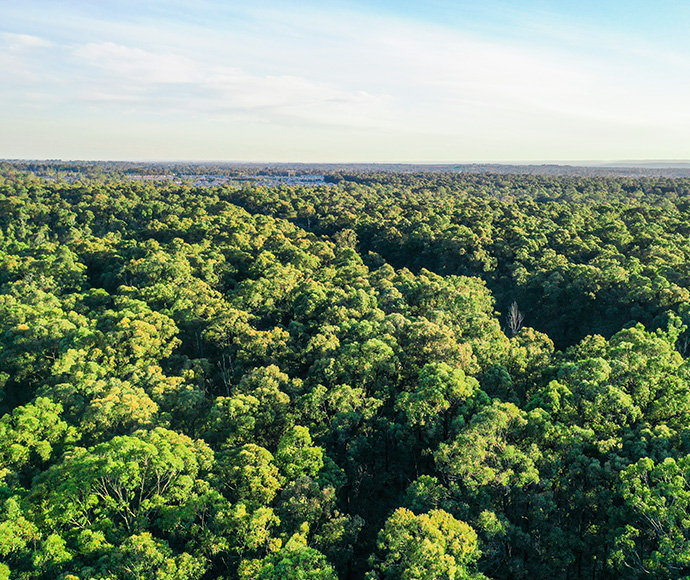 Aerial view of Yiraaldiya National Park