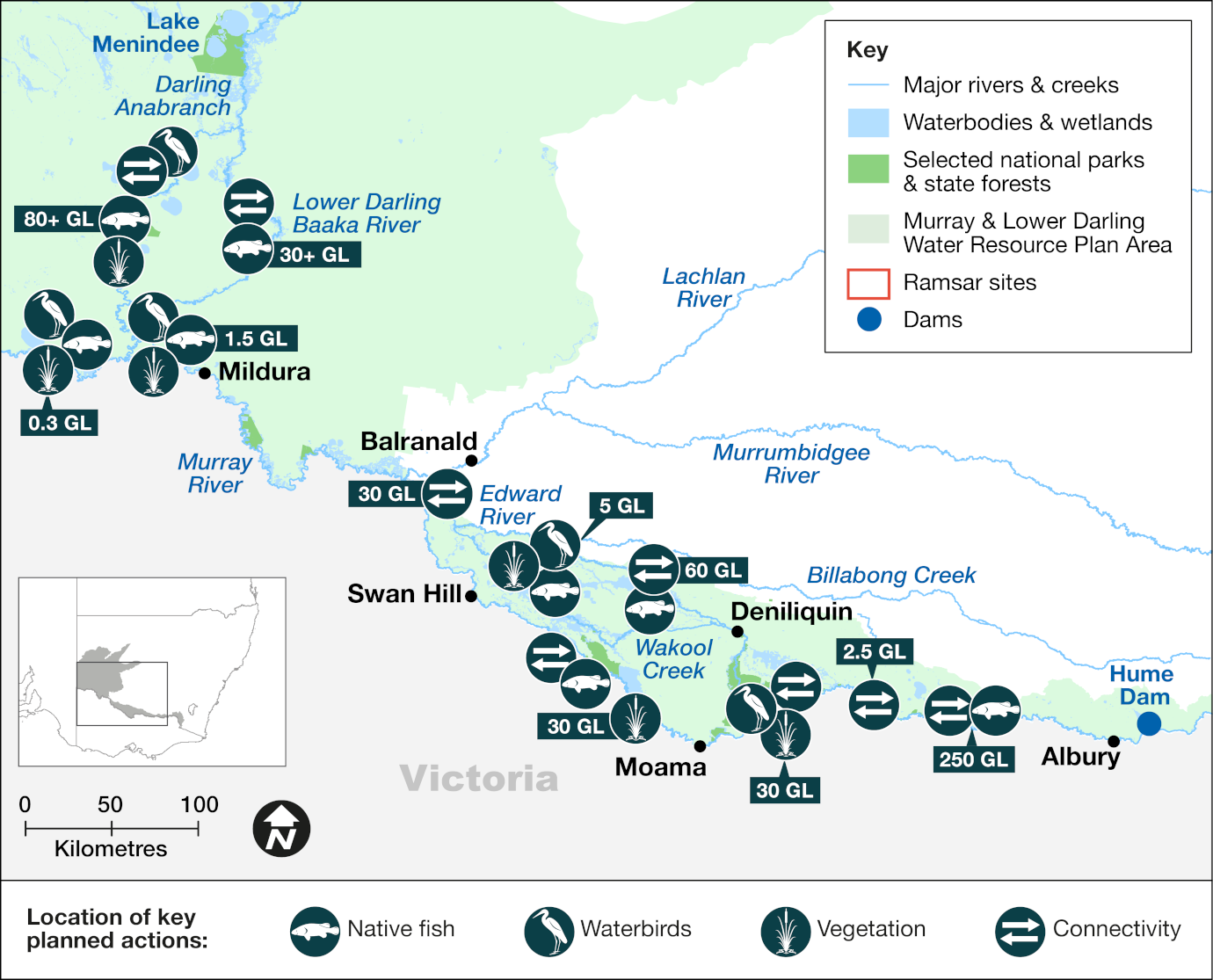 Map of the Murray–Baaka – Lower Darling catchment area showing priority targets and volumes of environmental water to be delivered in 2024-25. The map includes icons to indicate locations of planned water releases that aim to support native fish breeding and dispersal, waterbirds, vegetation, and improve river channel condition and connectivity.