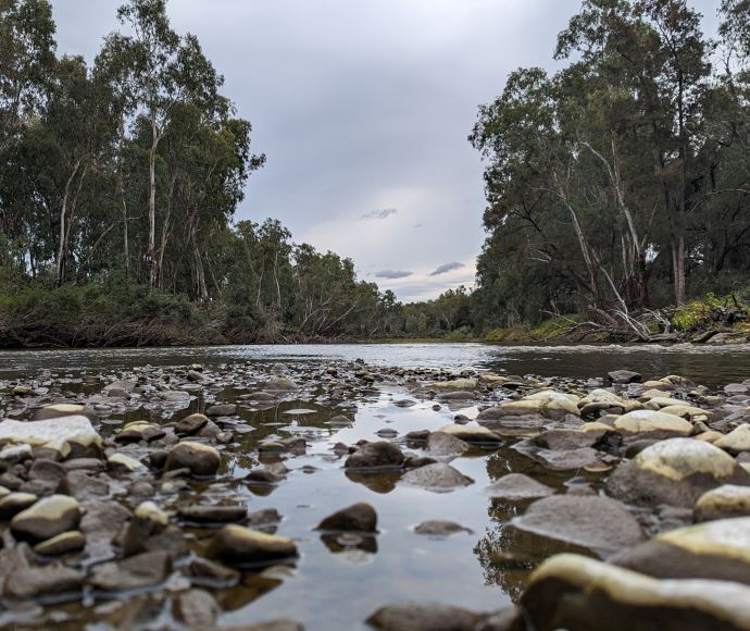 Looking upstream, Dumaresq River, Bonshaw