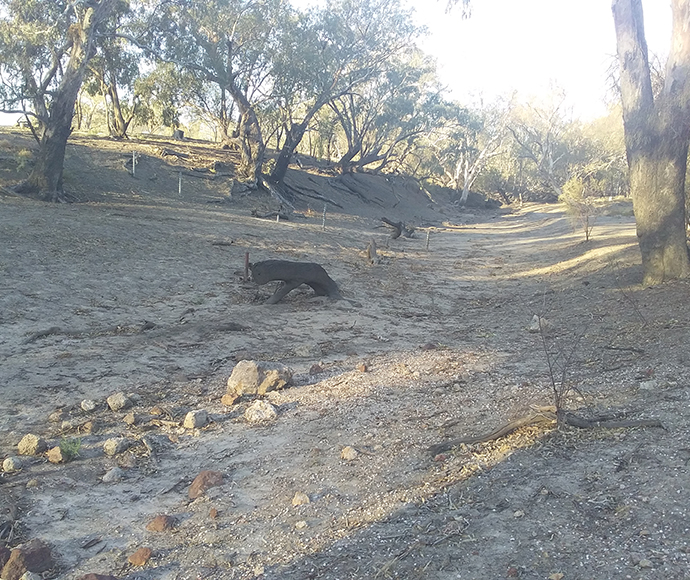 Dry river reaches in lower Mehi near Collarenebri gauge 2