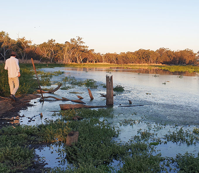 A person stands by a water body surrounded by trees