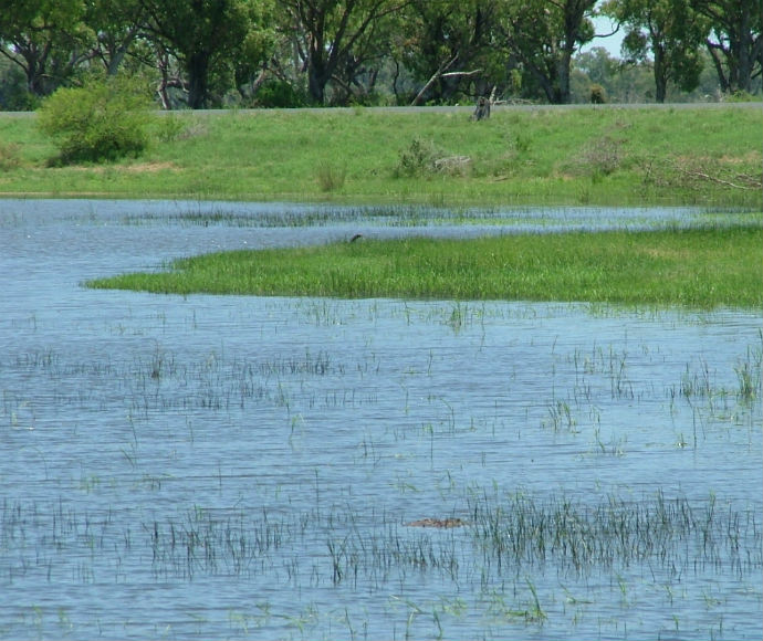 Whittakers Lagoon along Mehi River, Gwydir