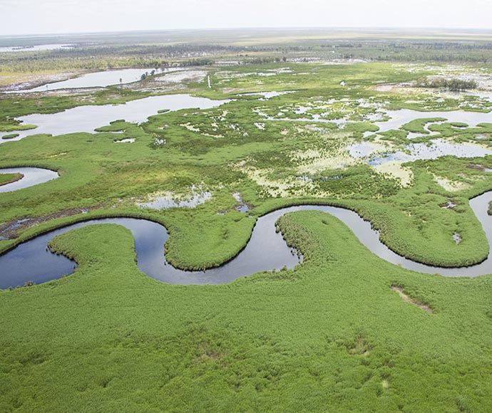 The Lachlan River flowing through the core reedbed of the Great Cumbung